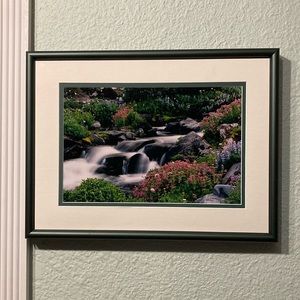 Paradise River at Mt. Rainier WA